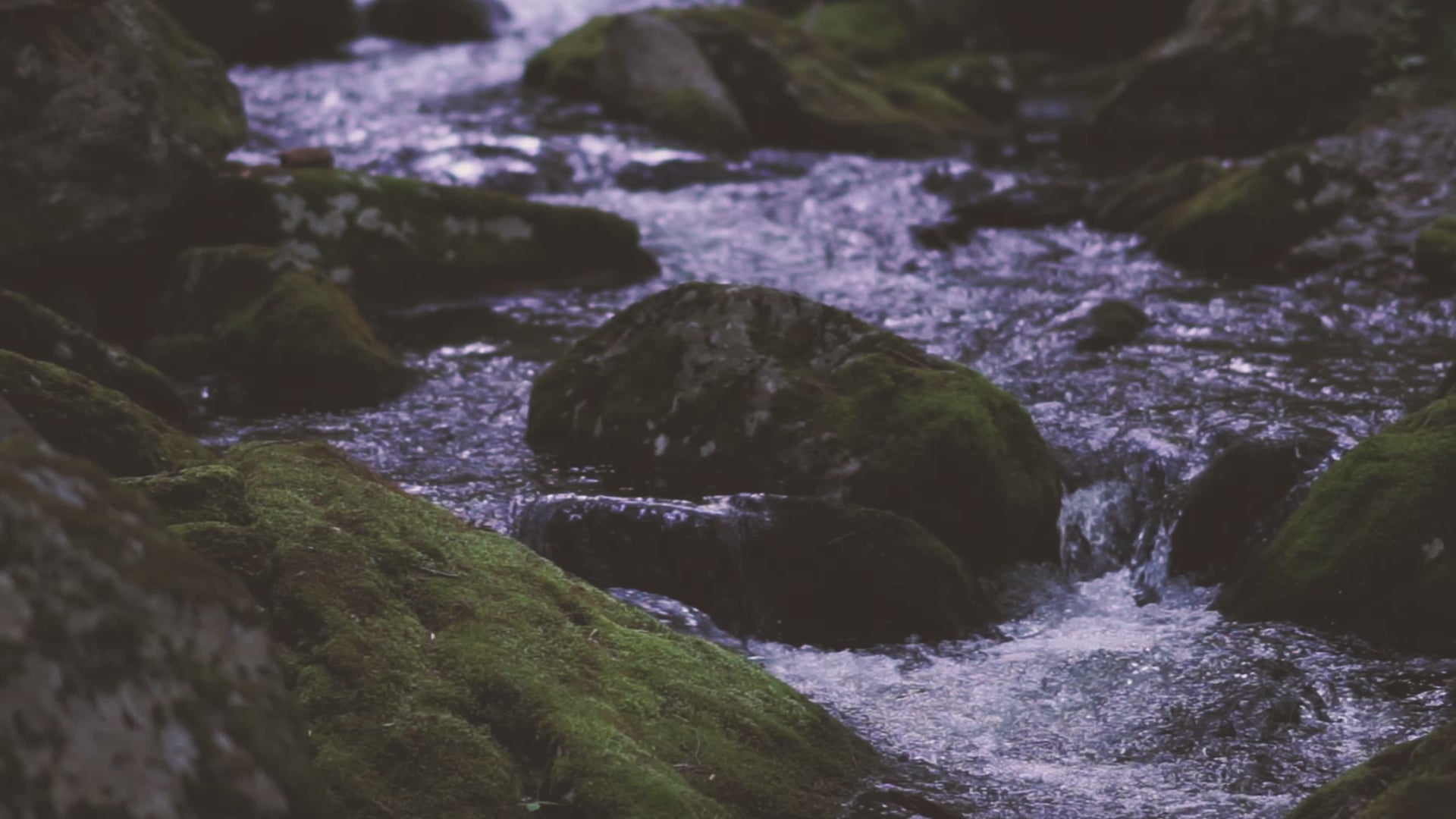 Load video: Moving with the rhythm of the earth.Practice alignment with nature.Greeting nature through gentle movement and the soft touch of light, indigo-dyed hemp — each step bringing us back to ourselves and the world around us.Rooted and grounded.Goodbye, summer. 🍃Bellewaera